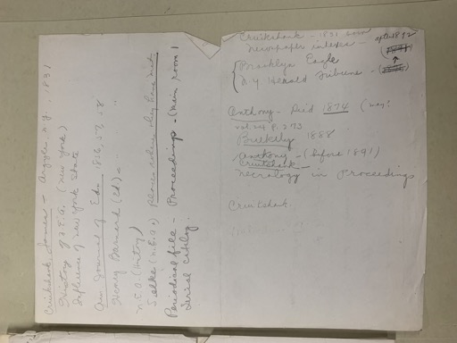 Handwritten Notes on Historical Topics