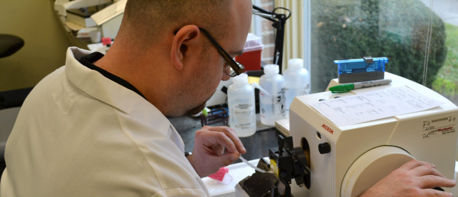Laboratory team